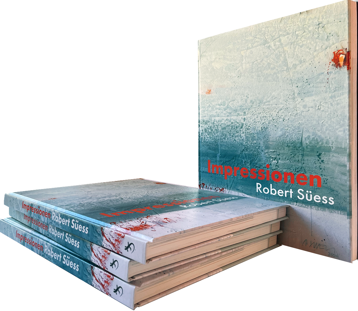 Buch 'Impressionen' Robert Süess